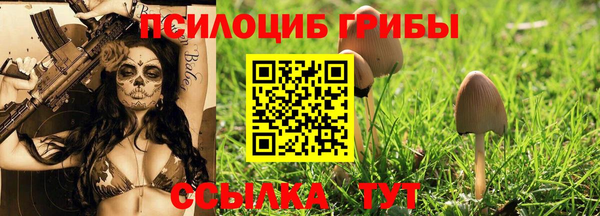 Псилоцибиновые грибы Magic Shrooms  Вход с VPN  Губкин 